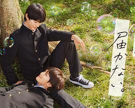 昆明网站关键词优化